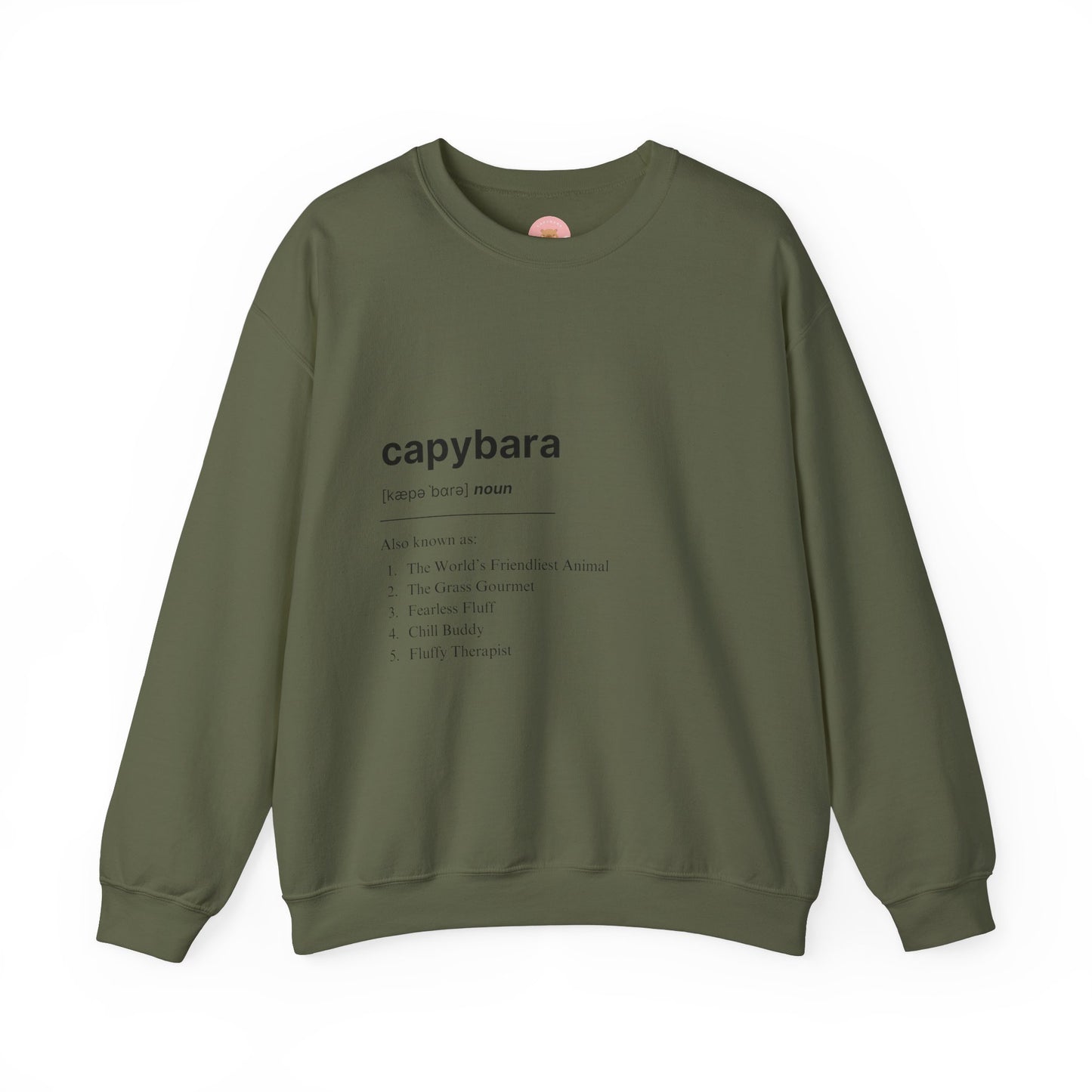 Capybara Definition Sweatshirt - The World's Friendliest Animal. Ideal for animal lovers, nature enthusiasts, and those who appreciate a touch of whimsy in their style. Perfect for casual outings, lounging at home, or as a thoughtful gift for birthdays, holidays, or any special occasion.