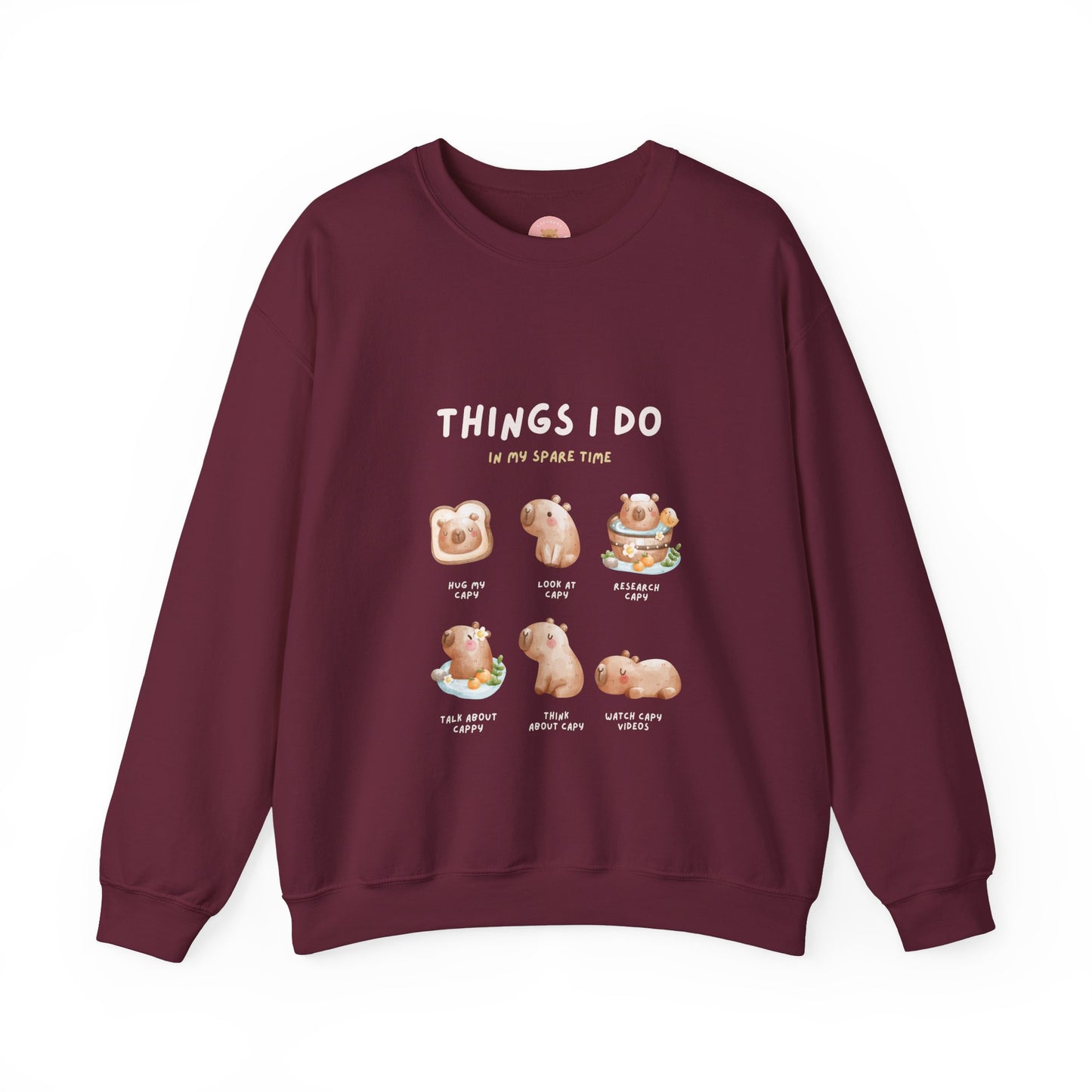 Things I do in my spare time Capybara Sweatshirt