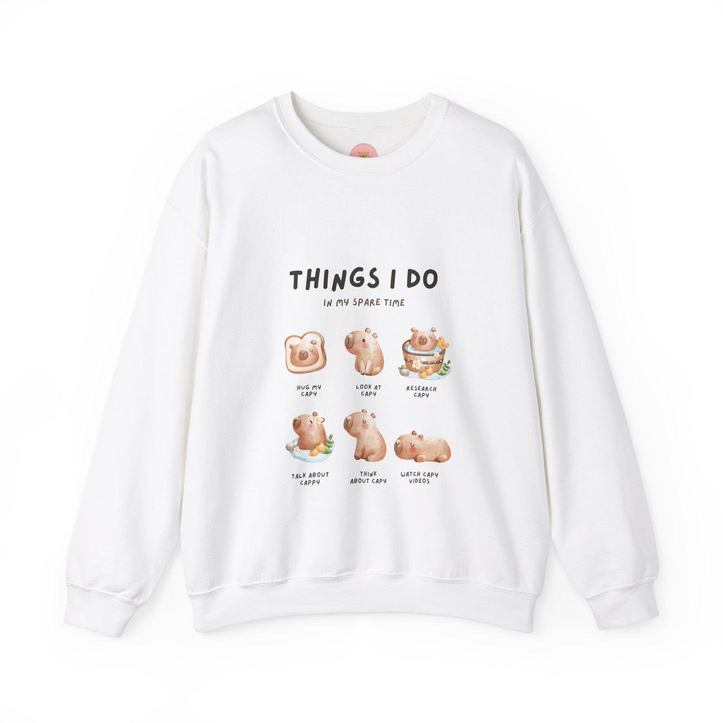 Things I do in my spare time Capybara Sweatshirt