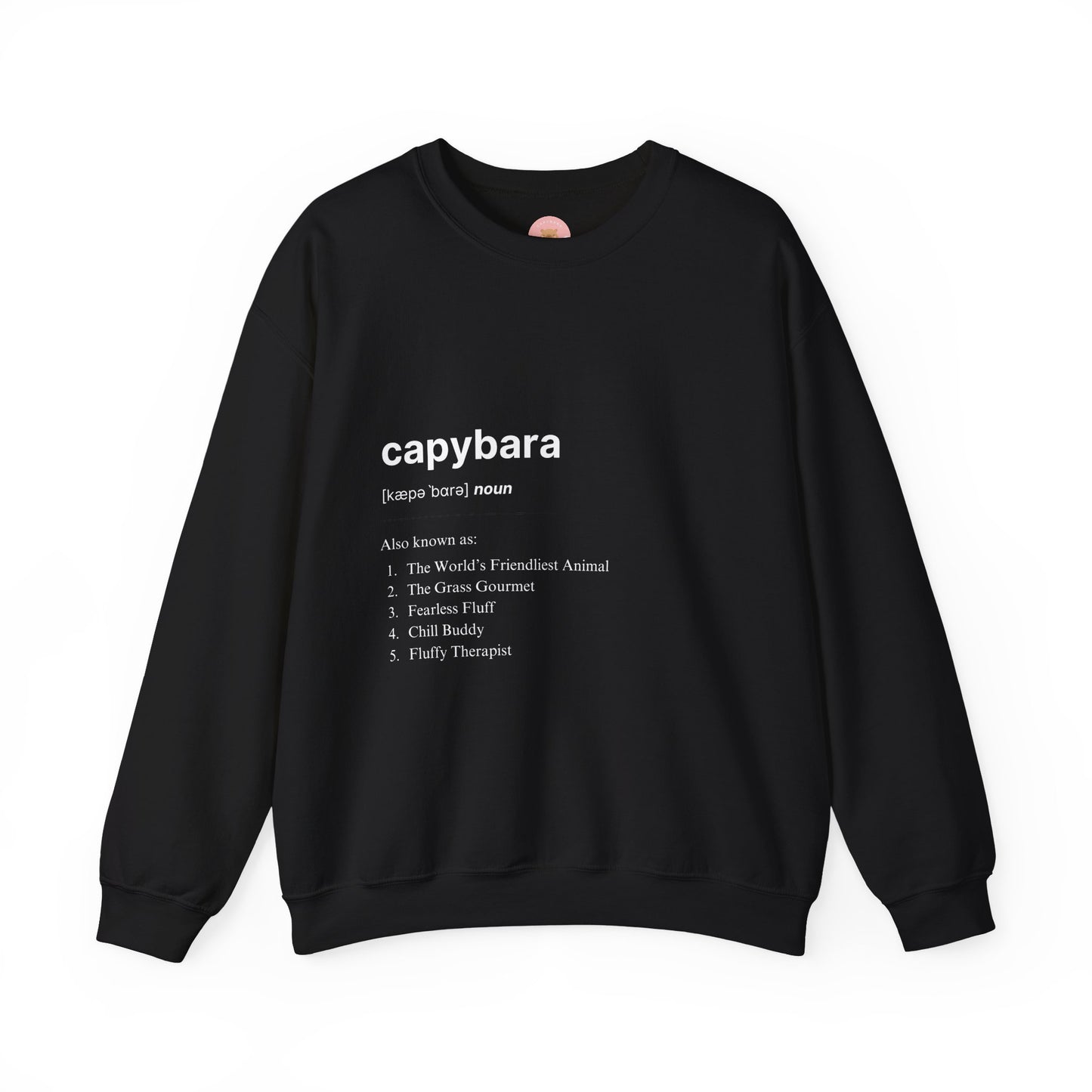 Capybara Definition Sweatshirt - The World's Friendliest Animal. Ideal for animal lovers, nature enthusiasts, and those who appreciate a touch of whimsy in their style. Perfect for casual outings, lounging at home, or as a thoughtful gift for birthdays, holidays, or any special occasion.