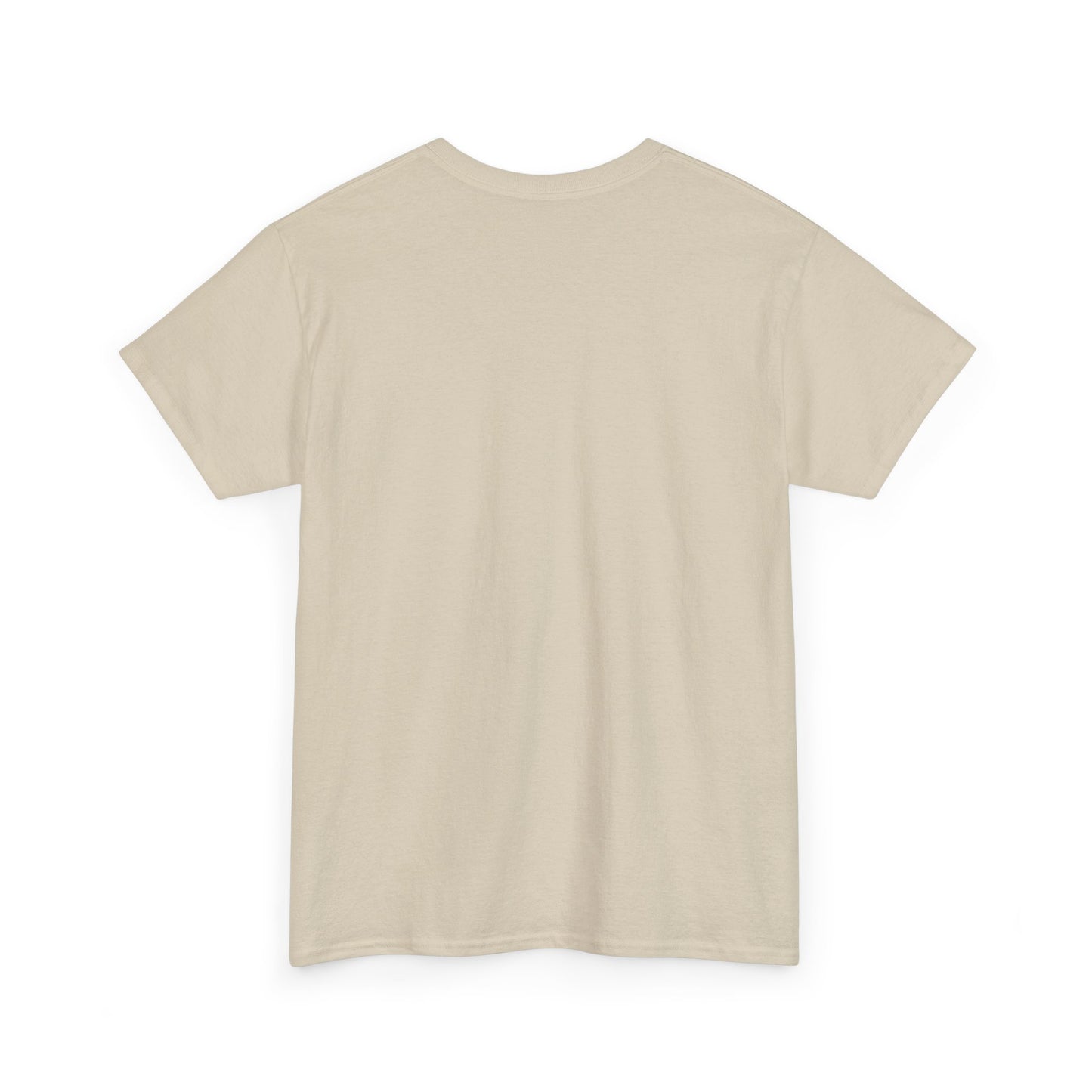 I Don't Care Capybara T-Shirt