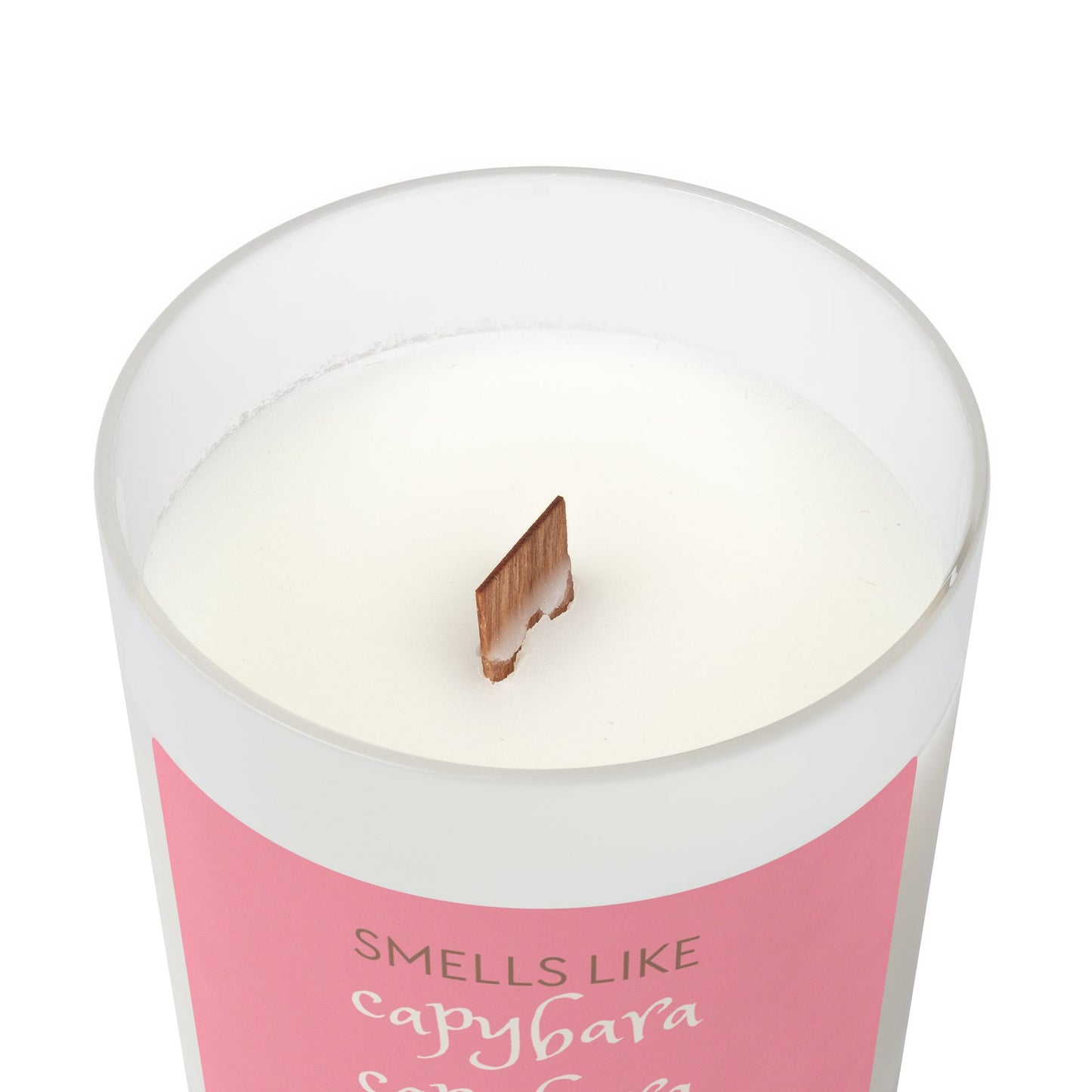 Smells Like Capybara Capybara Capybara! Capybara Frost Candle 11oz (9 Scents)