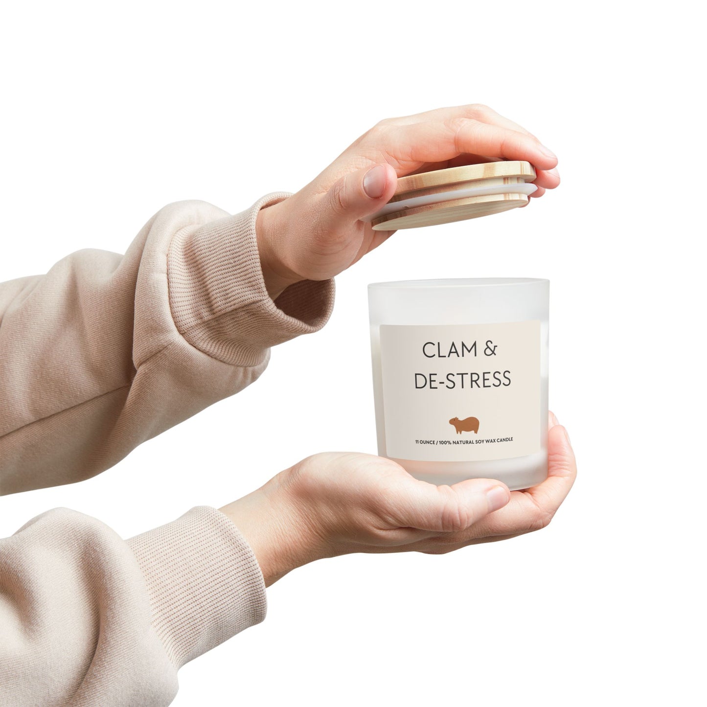Clam & De-stress Capybara Frost Candle 11oz (9 Scents)