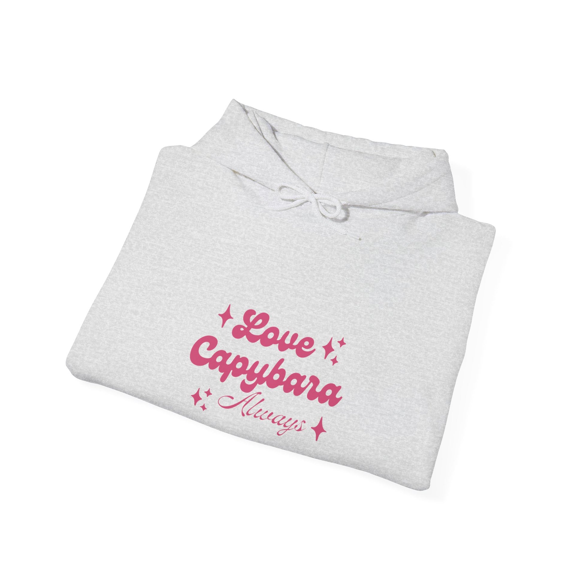 Capybara  hoodie-Showcase your love for the world's friendiest rodent with our Love Capybara Always hoodie!. This cozy and stylish hoodie celebrates your passion for capybaras, making it a must-have for animal loves and capybara enthusiasts