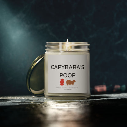 Funny Candle Gift Capybara's Poop (9 Scents)