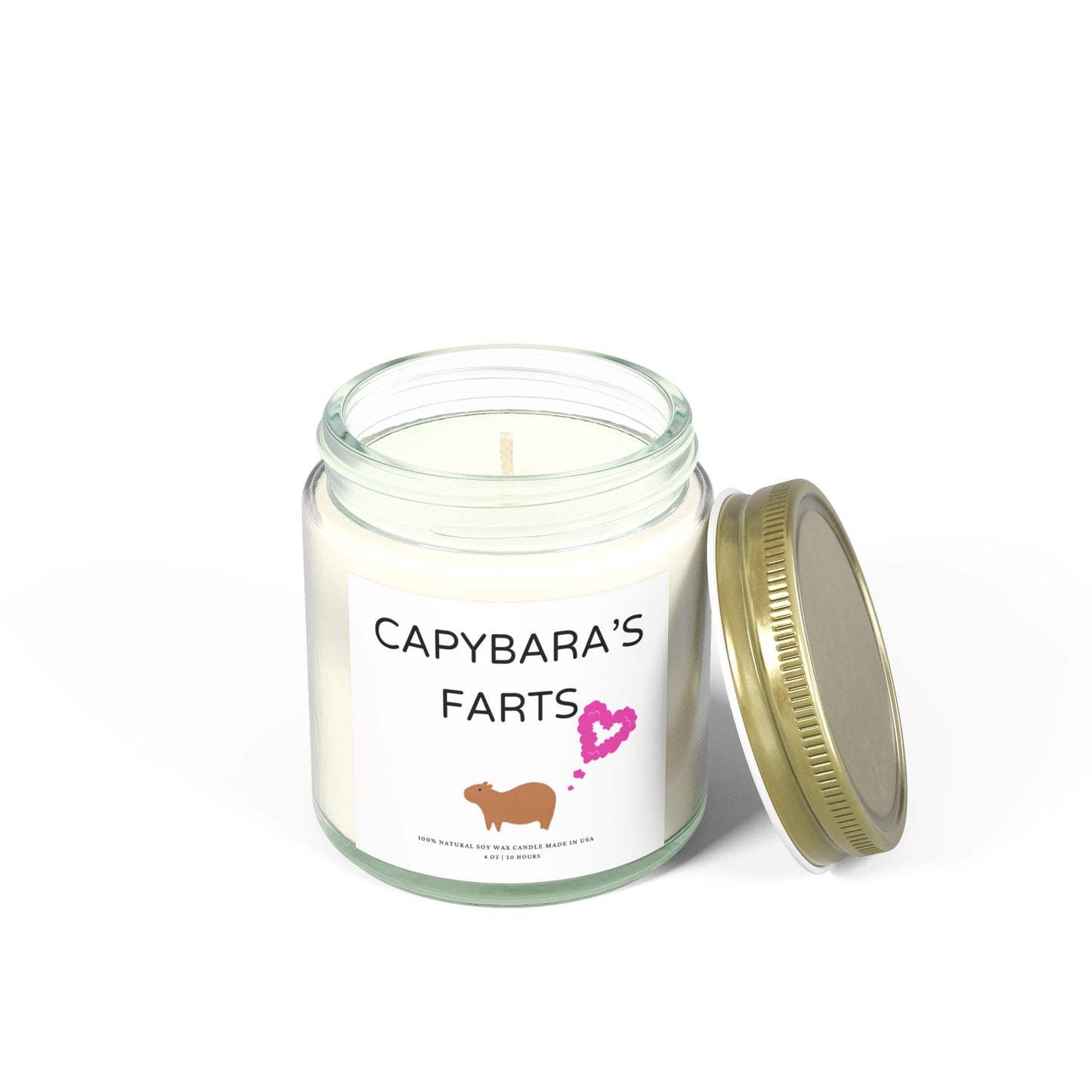 Funny Candle Gift Capybara's Farts (9 Scents)