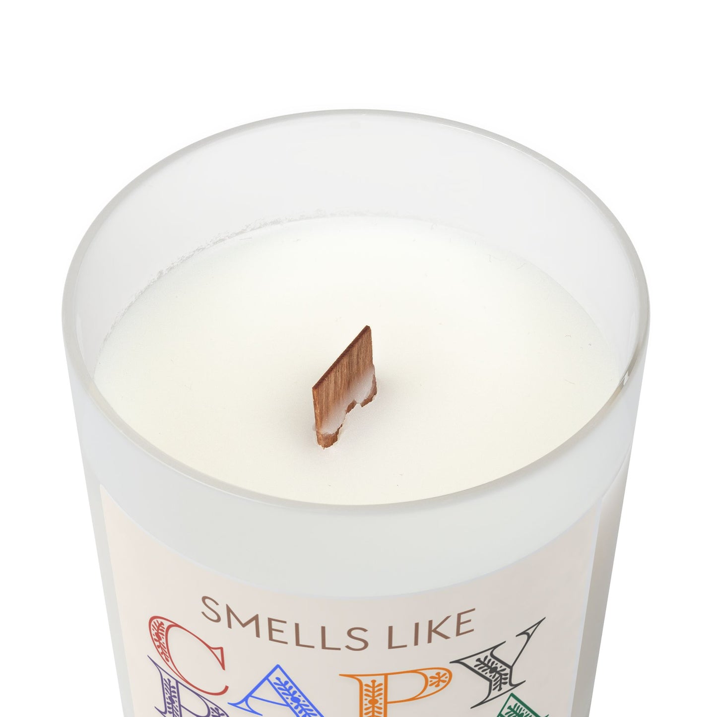 Smells Like Capybara! Capybara Frost Candle 11oz (9 Scents)