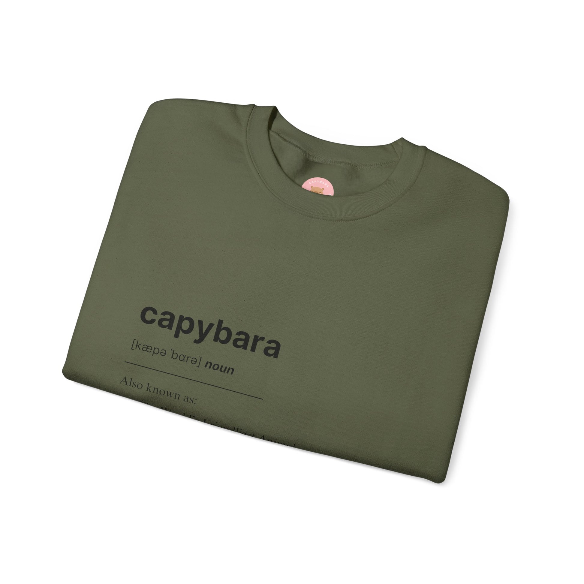 Capybara Definition Sweatshirt - The World's Friendliest Animal.  Ideal for animal lovers, nature enthusiasts, and those who appreciate a touch of whimsy in their style. Perfect for casual outings, lounging at home, or as a thoughtful gift for birthdays, holidays, or any special occasion. 