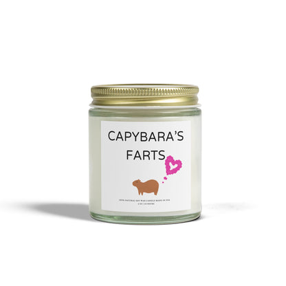 Funny Candle Gift Capybara's Farts (9 Scents)