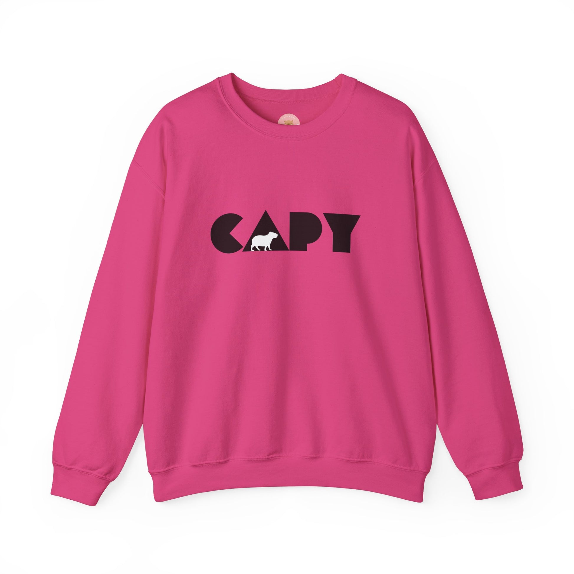Capybara sweatshirt features the stylish plain text design of the word CAPY with a capybara graphic embedded. It offers a comfy wearing experience with a classic fit and crew neckline. Perfect for colder months, this sweatshirt is ideal for those who love unique and chill designs. The target audience includes individuals who enjoy cozy apparel with a touch of personality. Relevant for holidays, casual gatherings, and everyday wear.